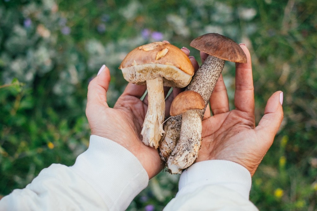    Фото © Freepik / Bublikhaus