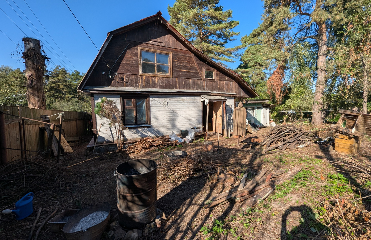 Ветки, деревья и другой древесный мусор, который ждёт своей очереди на сжигание.