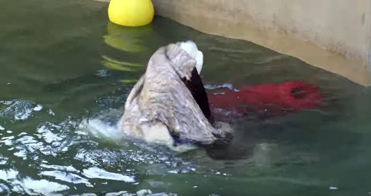 картинки для превью