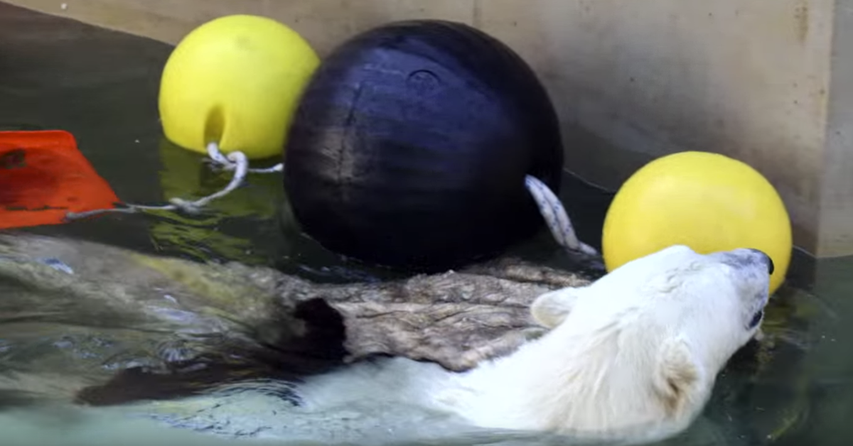 картинки для превью