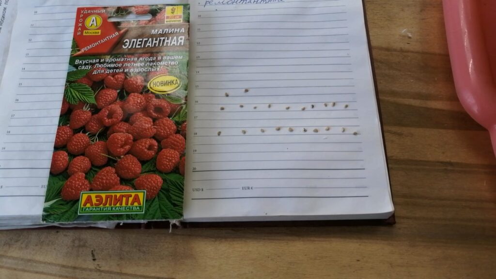 Пакетик семян малины сорта «Элегантная».