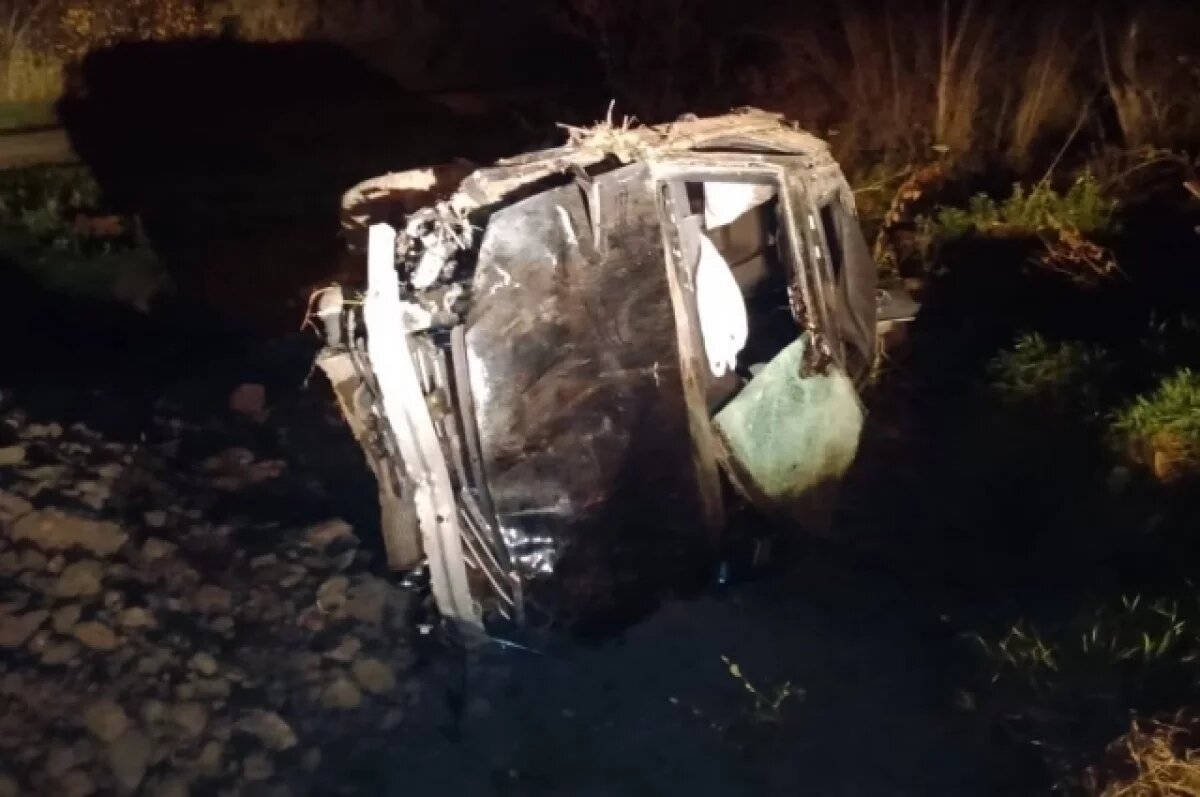    Audi слетела в кювет и опрокинулась в Томской области