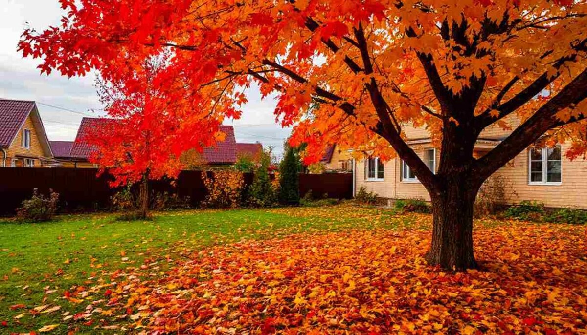    Фото: создано ИИ