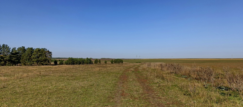 Дорога с охоты.