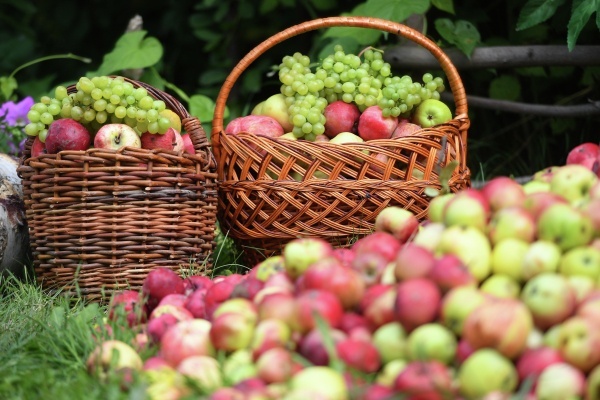 Фото: РИА Новости/Максим Богодвид