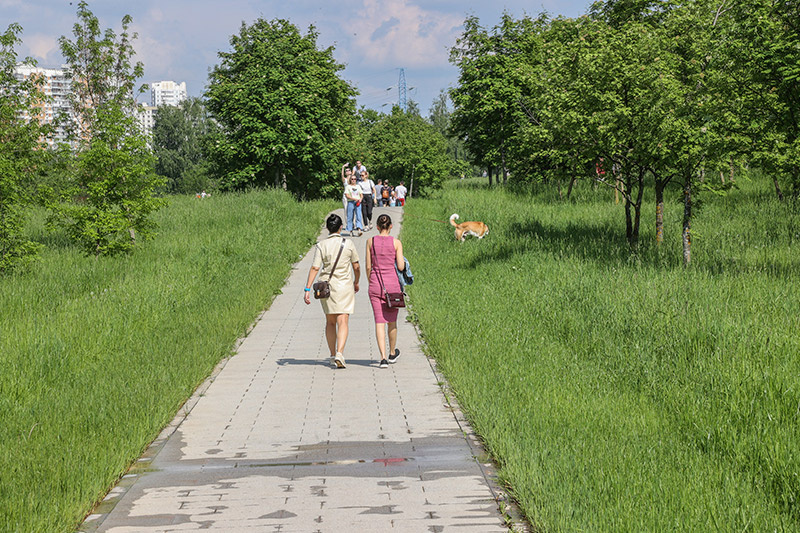    Сергей Булкин/NEWS.ru