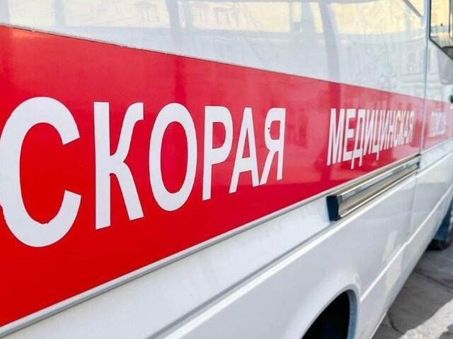    Фото: 123RF/savmaster