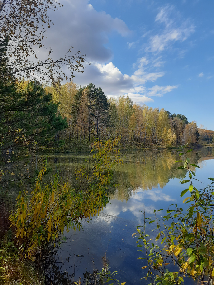 Берег Чертыковакого озера