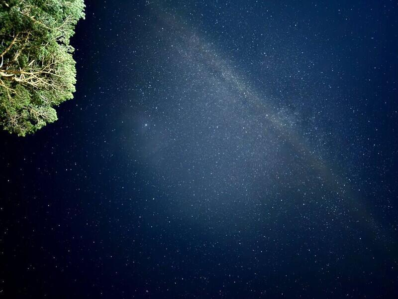 © Фото: t.me/rammkraft 