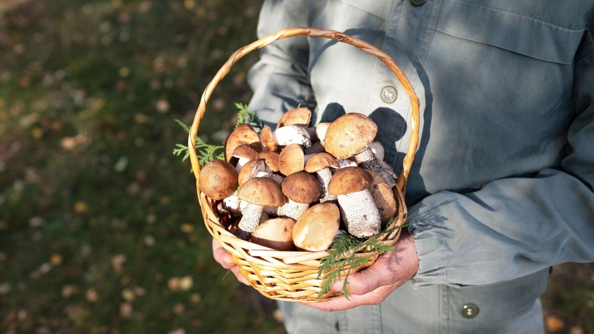    Фото: svetlaya_strana_omsk/Shutterstock/Fotodom