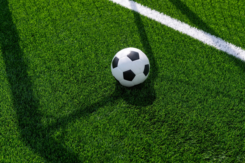    Shutterstock/FOTODOM