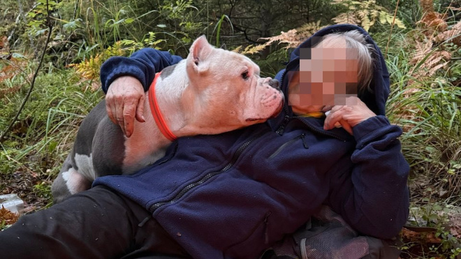 Фото: extremum.spb.ru