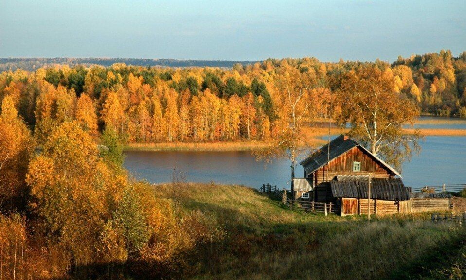 По дороге в Северодвинск, типичные архангельские пейзажи.