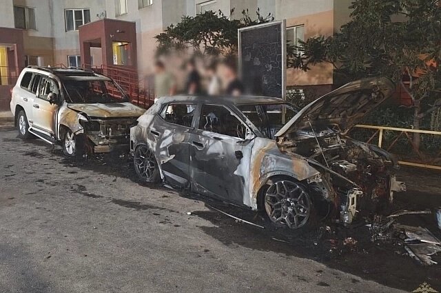    Фото: ГУ МВД по Волгоградской области