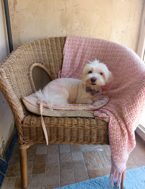 После стрижки