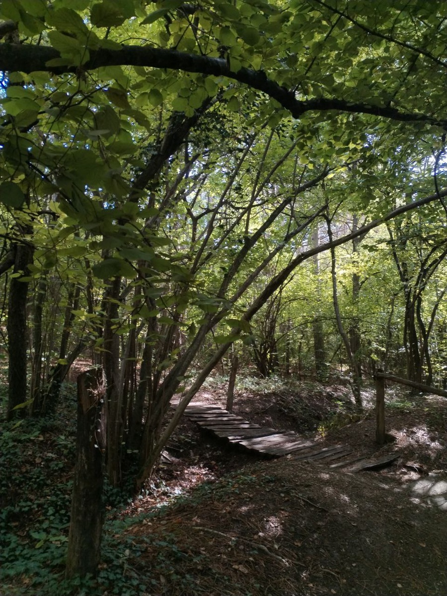 на склонах горы Каратау