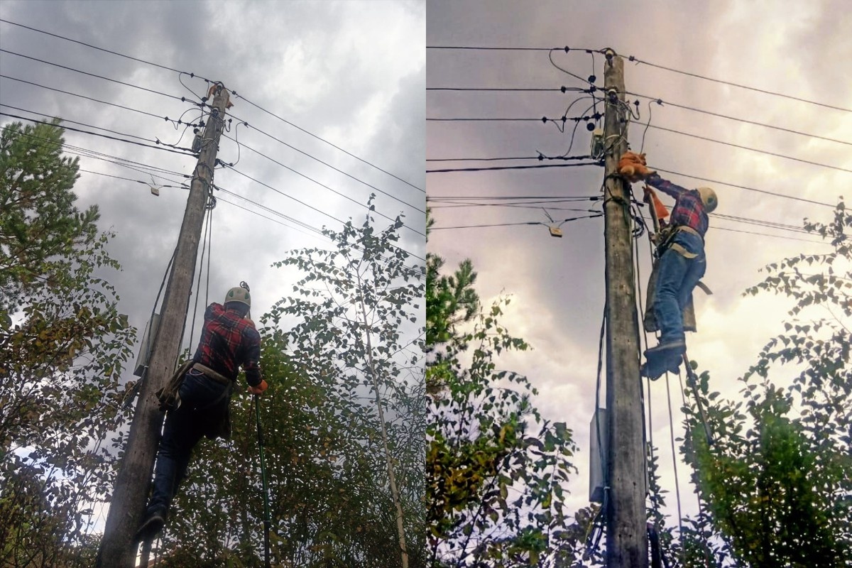     Фото: «ЗооСпас в Екатеринбурге» / vk.com/zoo_spas_ekb
