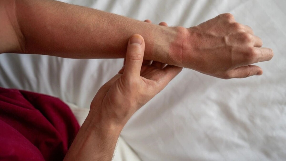    Фото: DimaBerlin/Shutterstock/Fotodom