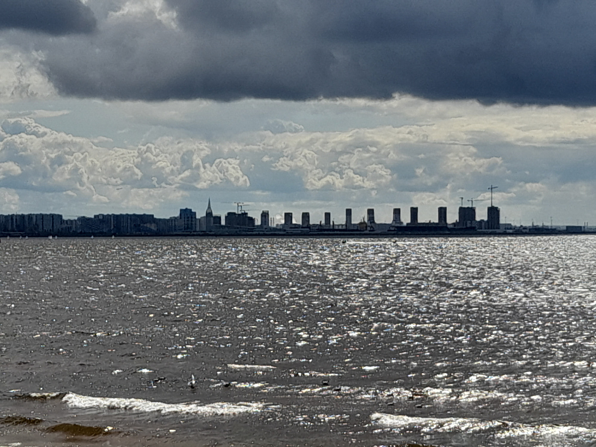 Нева впадает в Финский задив. фото автора