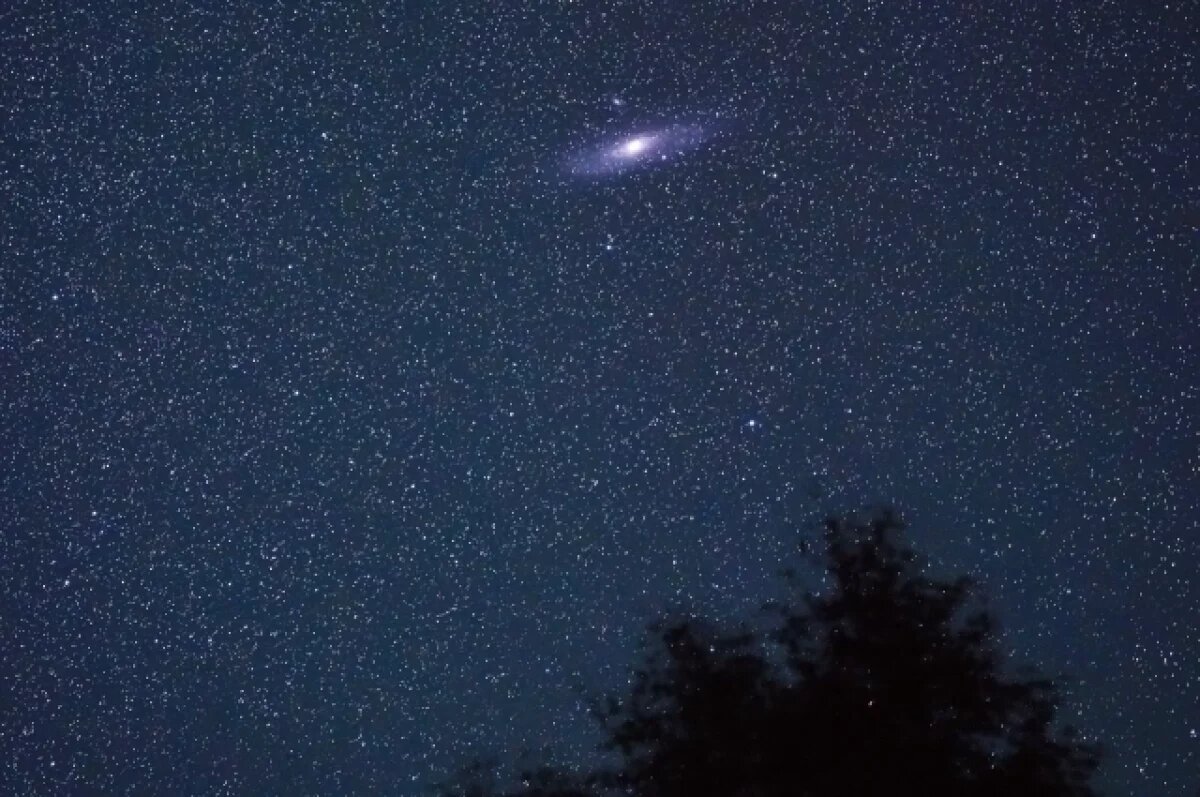    Публикацию фотографы назвали «звёздной ночью на заповедных берегах»