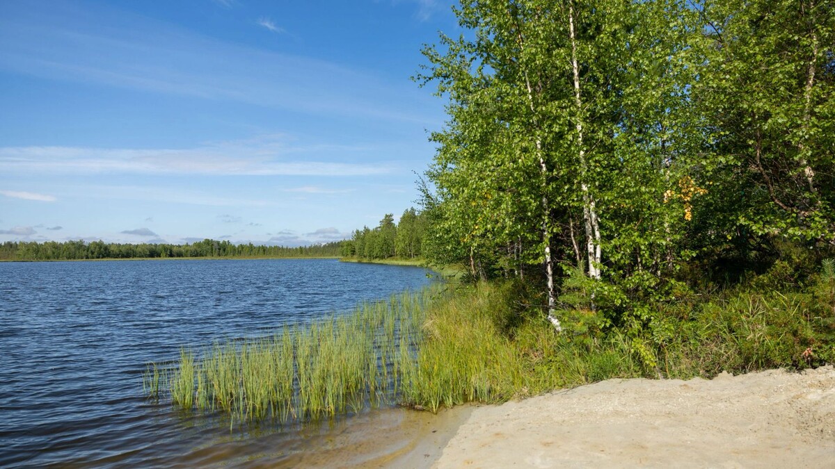    Фото: Федор Воронов / «Ямал-Медиа»