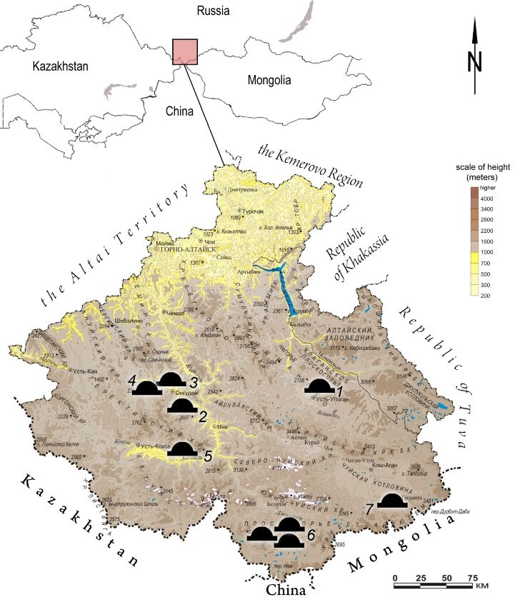 Местоположение пазырыкских «замерзших» могил. Расположение раскопанного кургана обозначено цифрой 1
Nikita Konstantinov et al. / Archaeological Research in Asia, 2022
