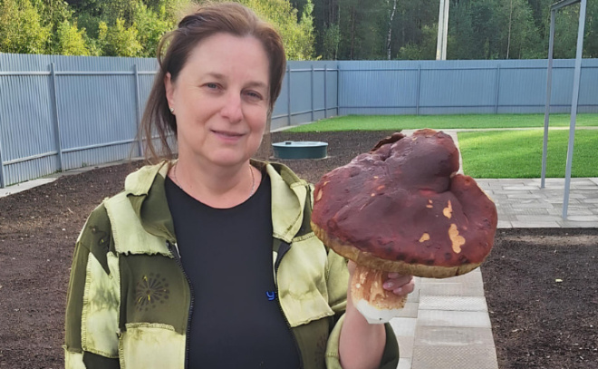    © t.me/podslushano_lodeynoePole