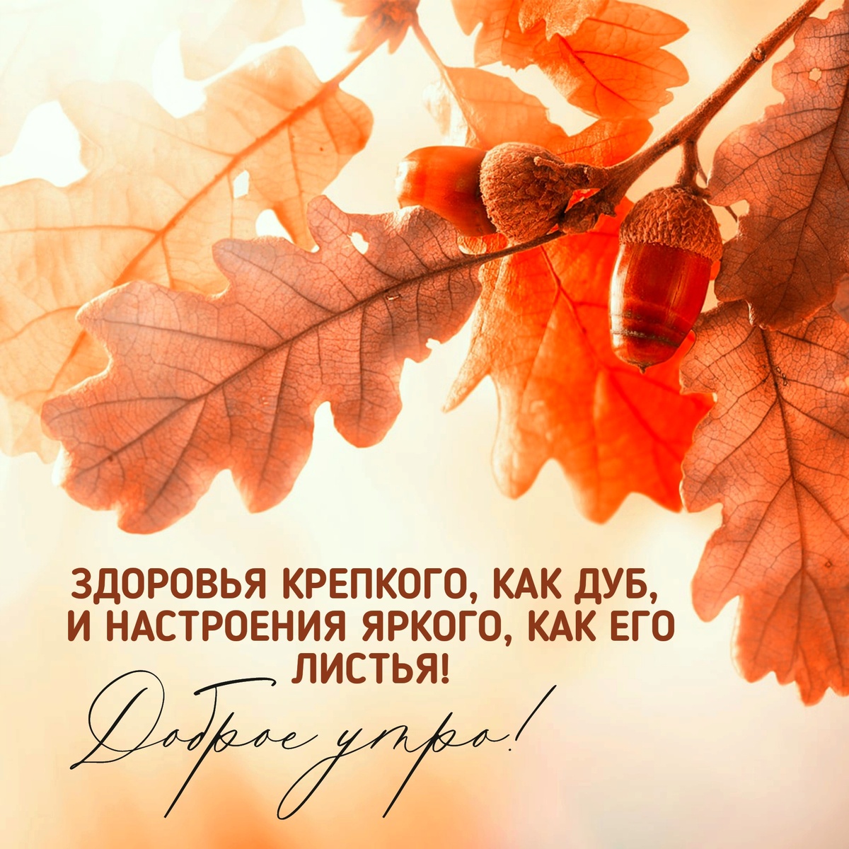 Доброе утро! Осенняя открытка.