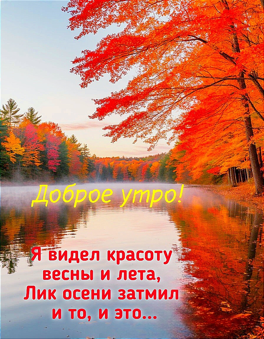 Доброе утро! Осень.