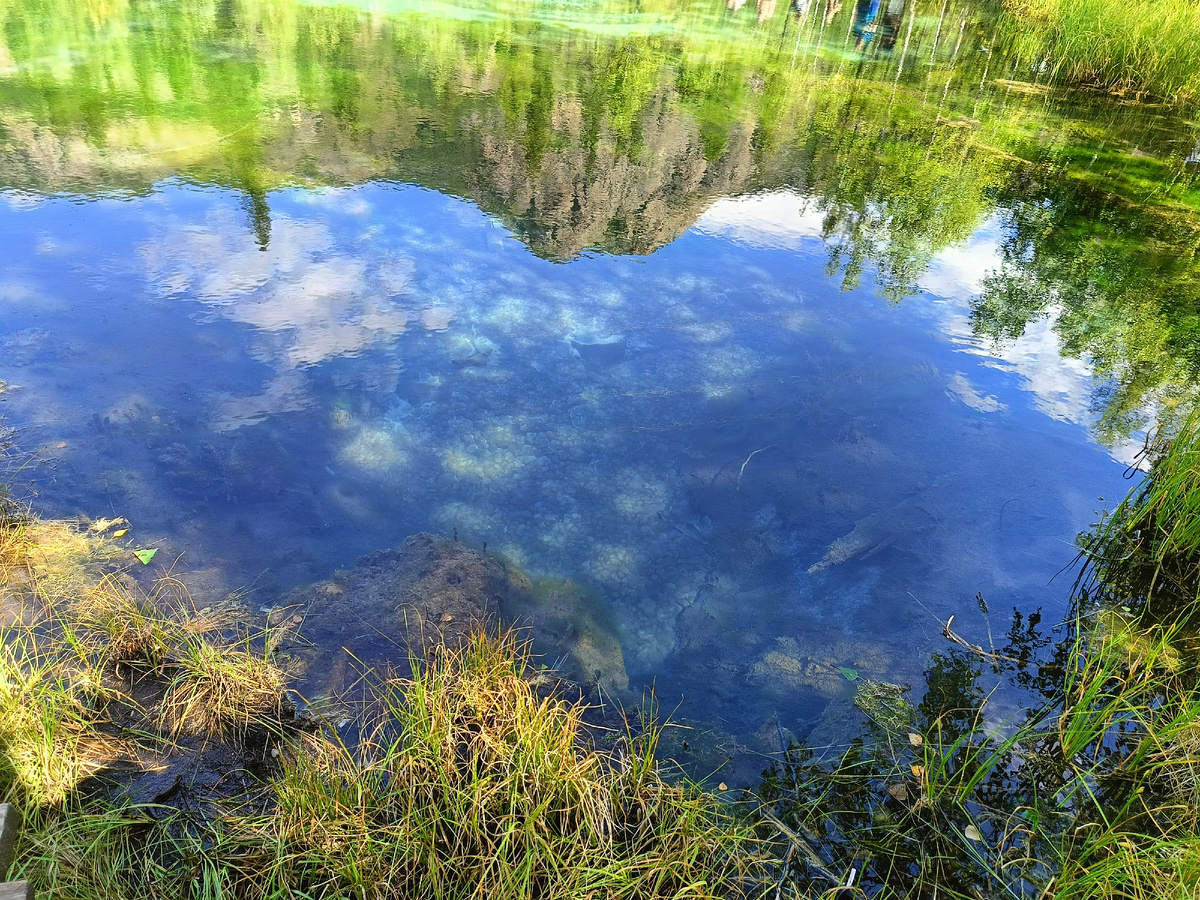 Так смотришь - синее