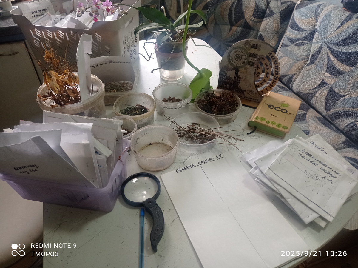 основная часть