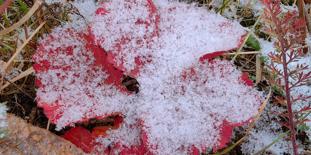 На Среднем Урале к концу недели дожди сменятся мокрым снегом
