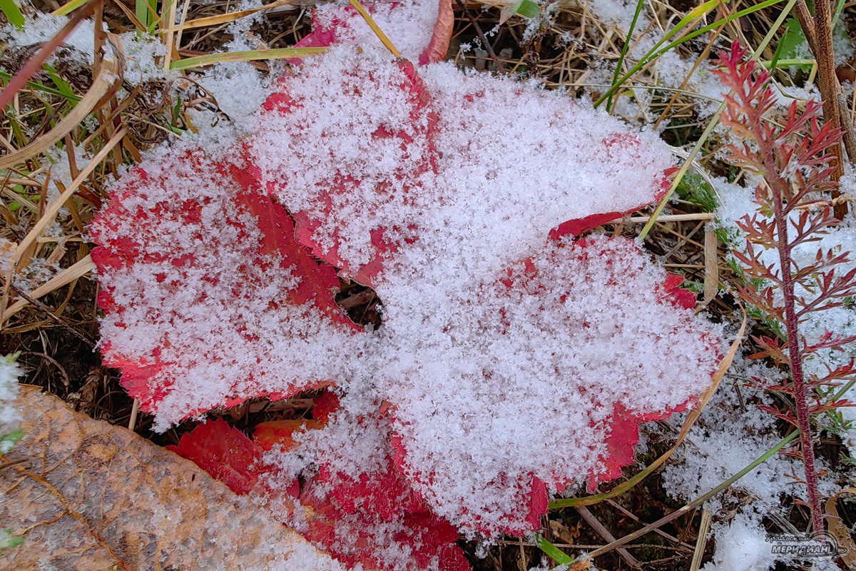    Фото: Лидия Аникина © ИА «Уральский меридиан»