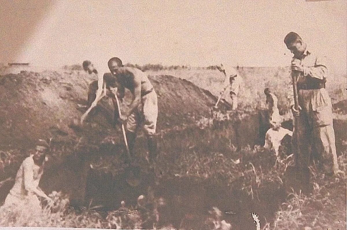    Курсанты не дали элитным соединениям фашистов с ходу взять мосты и, тем самым, сорвали планы гитлеровцев.