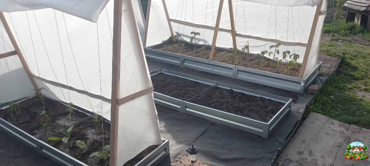  Впереди  ждёт увлекательный сезон выращивания и сбора урожая!