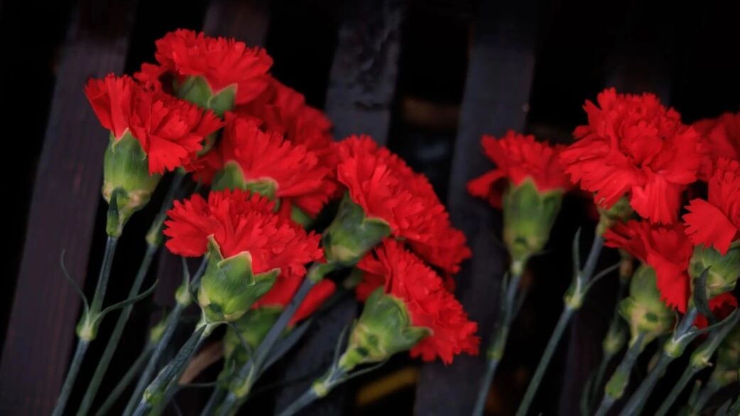    Фото: Юлия Чудинова / «Ямал-Медиа»