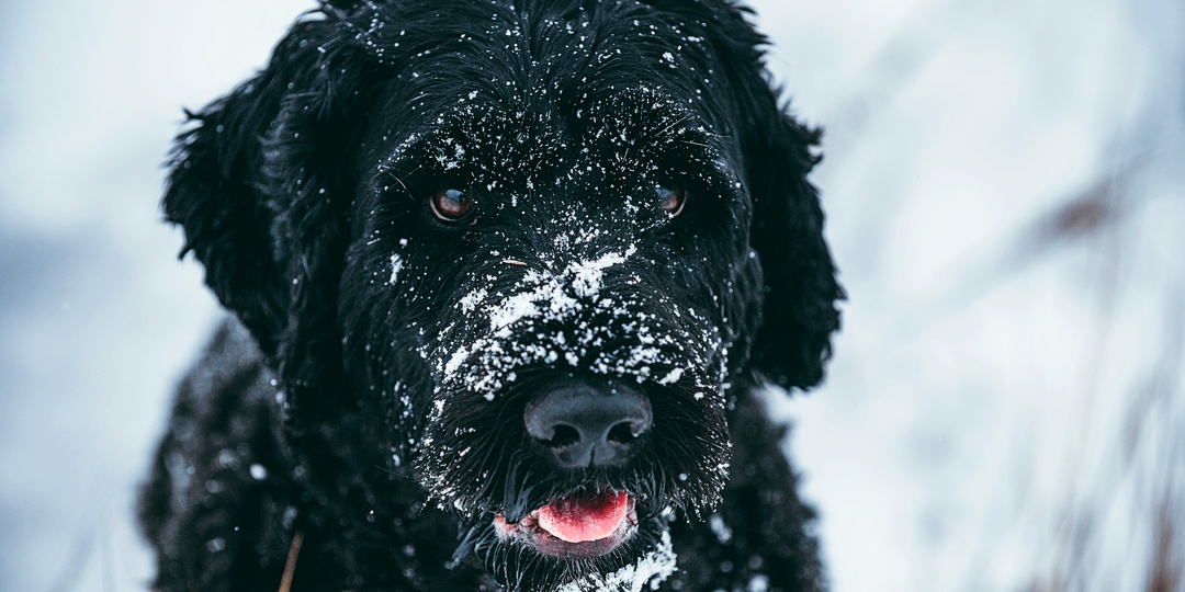 Вот мы и встретились…