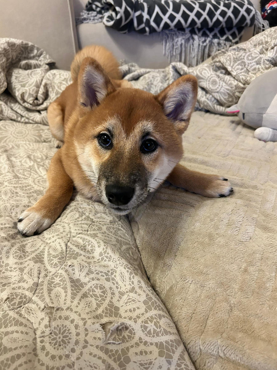 Йода - шкода =)