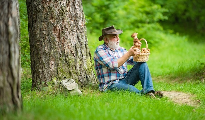    Как распознать грибы-оборотни