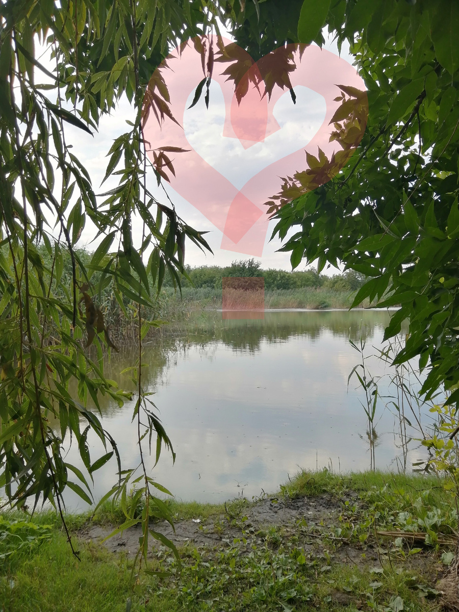 Наша природа