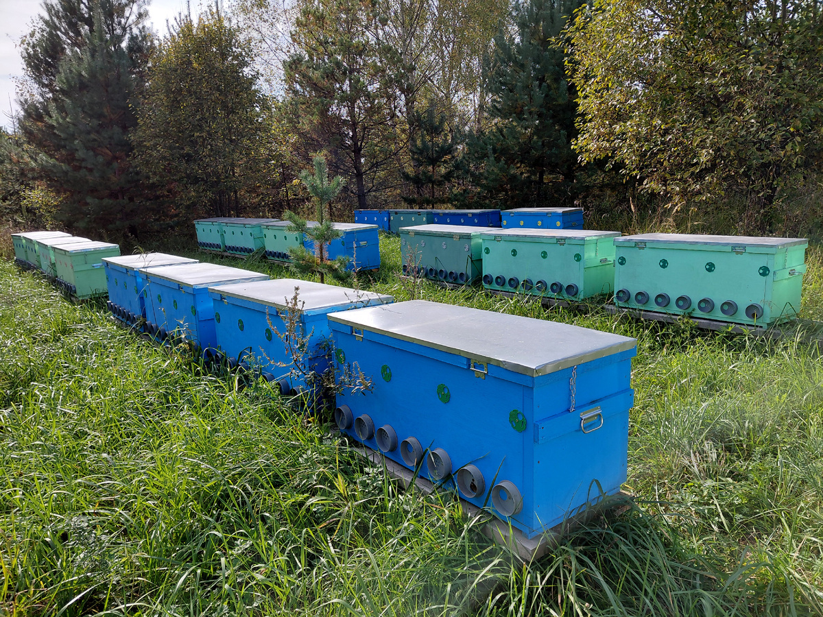 Пасека на ульях лежаках Якимова