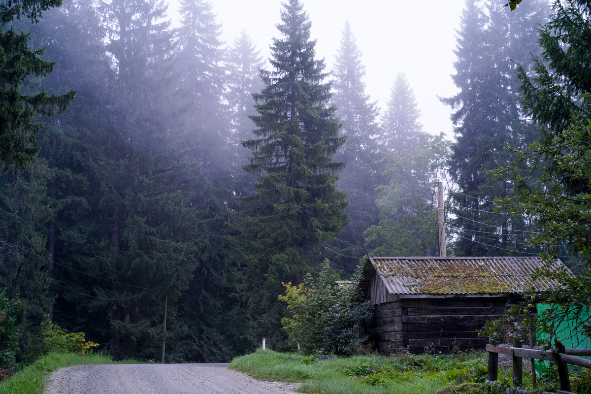 Сентябрьское утро в деревне. Фото автора.