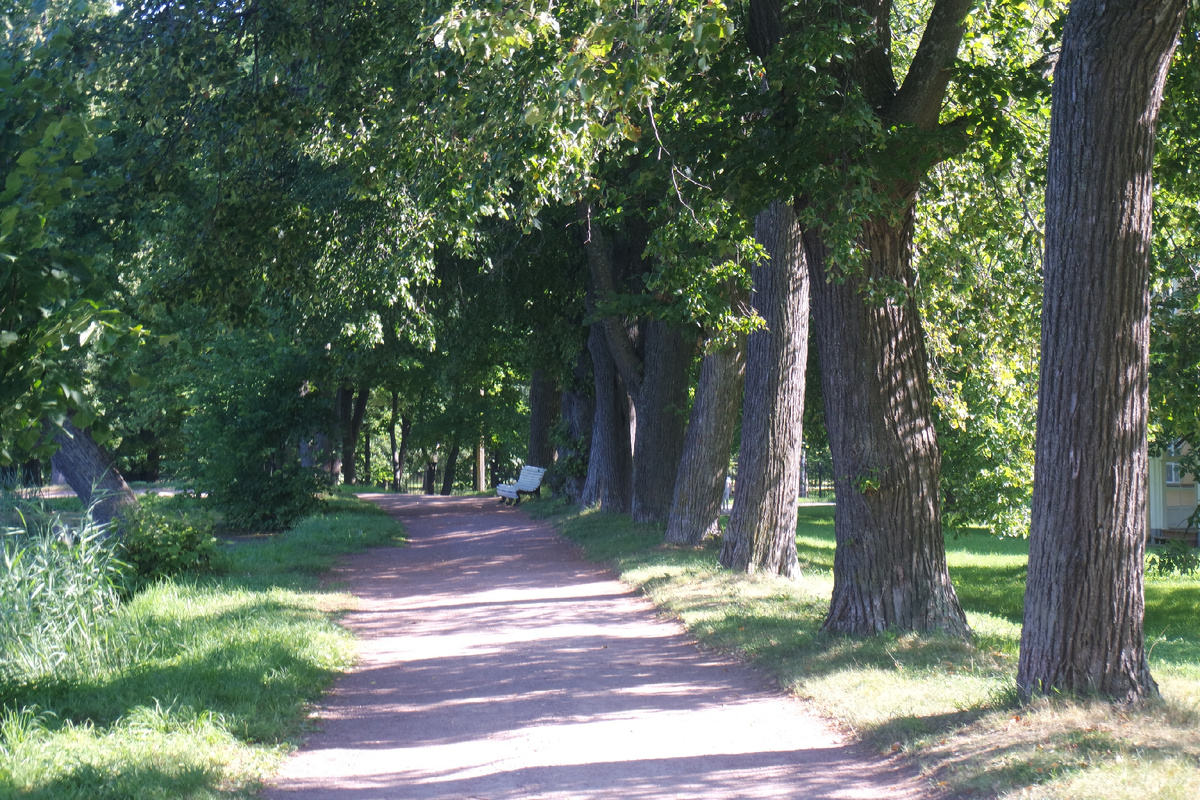 вдоль Красного Пруда- 