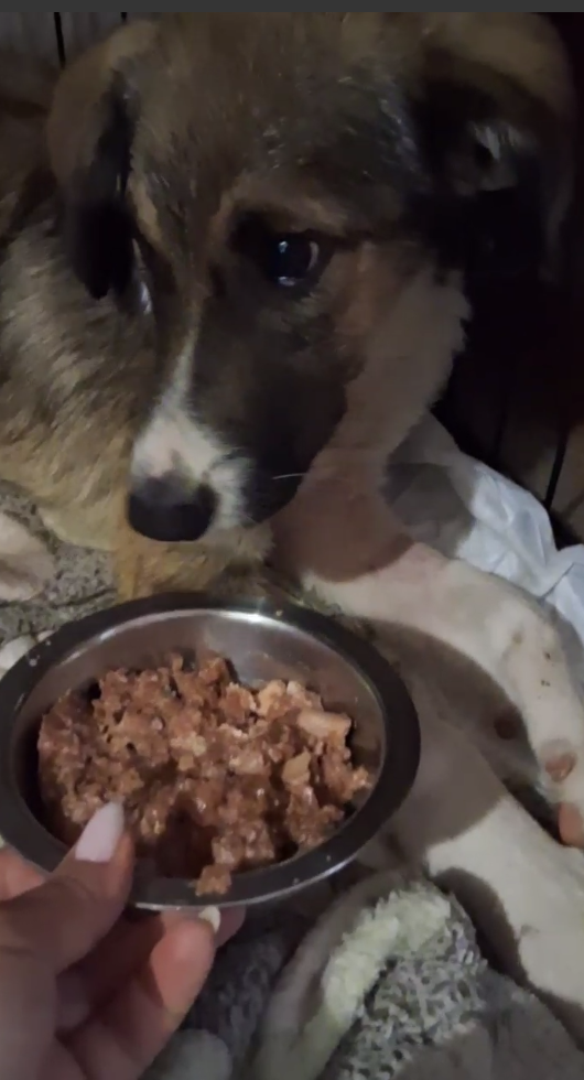 Это меня называют двойником Хана. Но разве я на него похож?