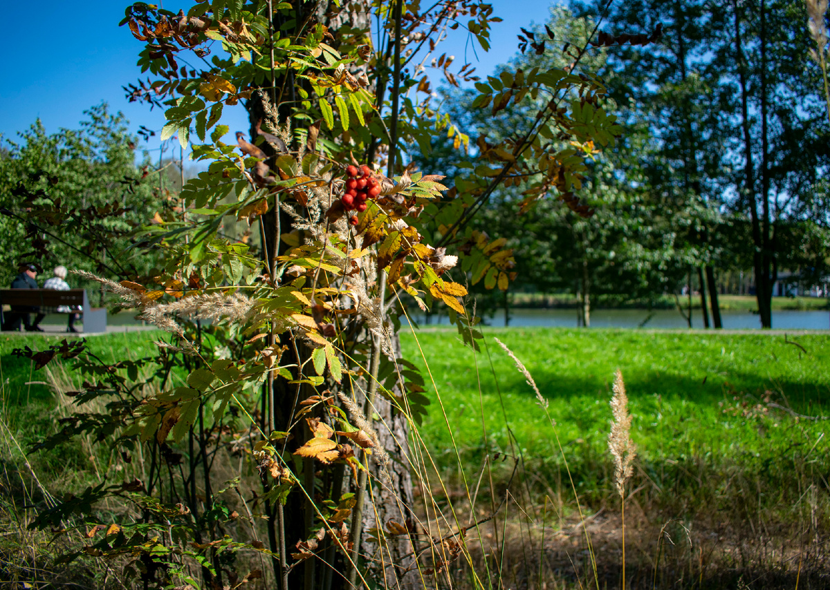Фотография автора статьи. 