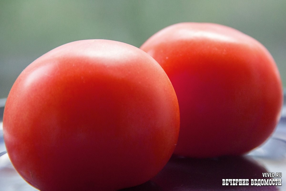     Фото: Вечерние ведомости