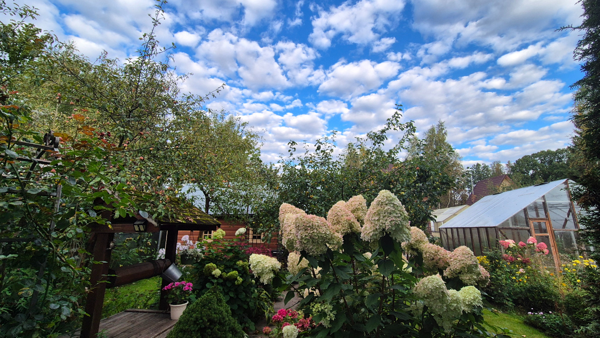 На даче в сентябре