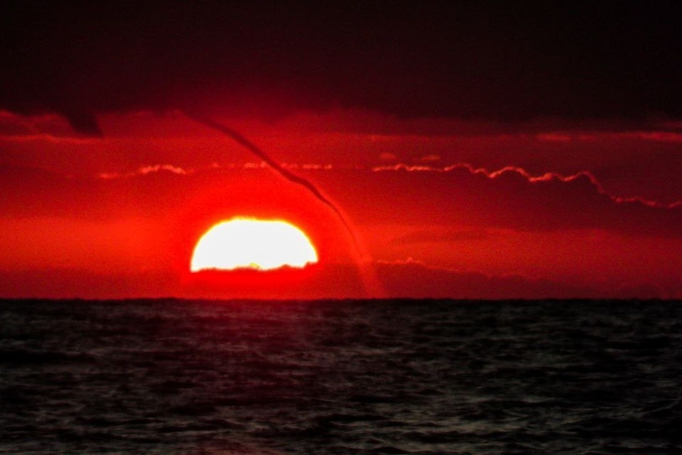    Фото: соцсети