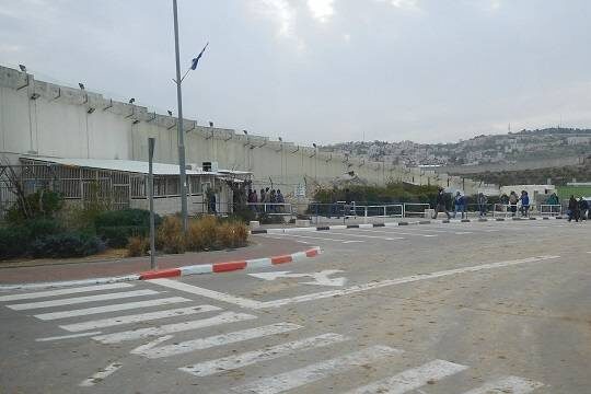    Канада, Великобритания и Австралия признали государственность Палестины