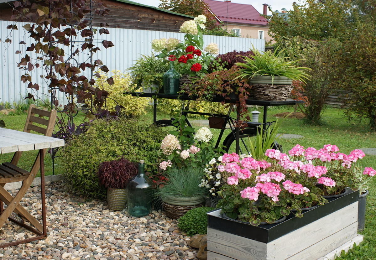 Общий вид на террасу. 